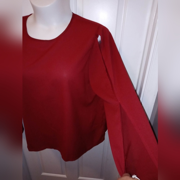 Sheer Red Blouse with Peekaboo Sleeves Sz 2X NWOT - Picture 2 of 7